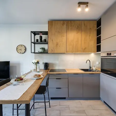 Apartmán Chic - Center - Cozy One Bedroom - Opolska
